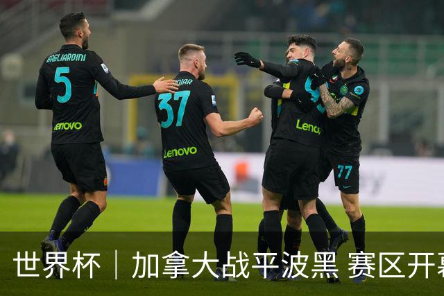 世界杯｜加拿大战平波黑 赛区开幕式表演“翻车”